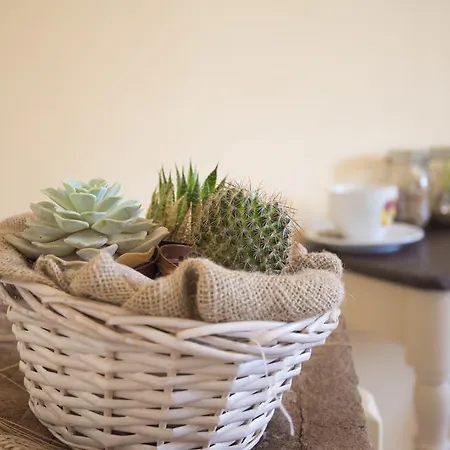 Dolce Sosta Gæstehus 3*